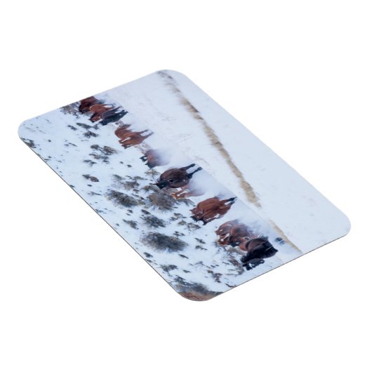 Cowboy Horse Drive | Hideout Ranch Shell, Wyoming Magneet (Rechterzijde)