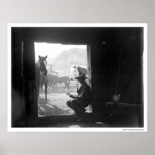 Cowboy in een deur met paarden poster