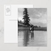 Cowboy in een vijver briefkaart (Voorkant / Achterkant)