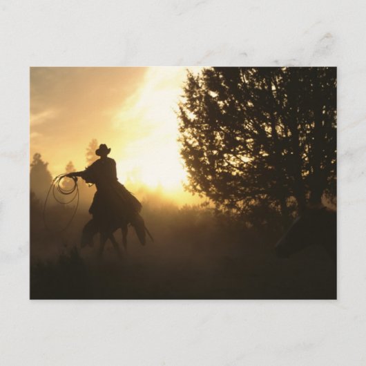 Cowboy met Lasso in Sunset Briefkaart (Voorkant)
