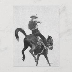 Cowboy Ned Coy Riding Bronco Briefkaart