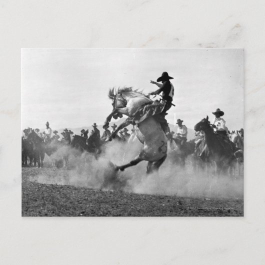 Cowboy op een boekje bronco briefkaart (Voorkant)