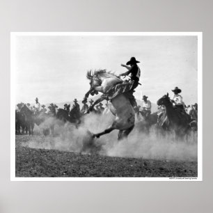 Cowboy op een boekje bronco poster