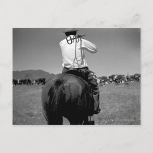 Cowboy op een paard met twee merken. briefkaart