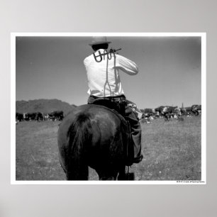 Cowboy op een paard met twee merken. poster