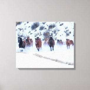 Cowboy paard rijden Hideout Ranch Shell, Wyoming Canvas Afdruk
