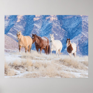 Cowboy paard rijden op Hideout Ranch Poster