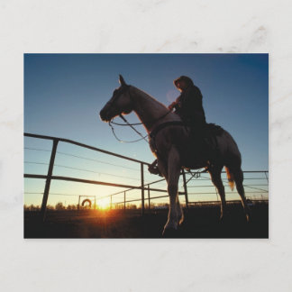 Cowboy Post Card Briefkaart
