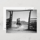 Cowboy roping briefkaart (Voorkant / Achterkant)