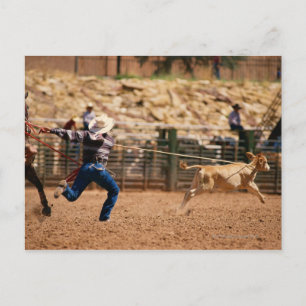 Cowboy roping kalf in rodeo briefkaart