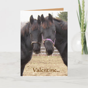 Cowboy Valentijn Feestdagen Kaart