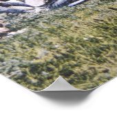 Cowboys at Lunch, 1904 (foto) Poster (Hoek)