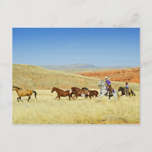 Cowboys herende paarden briefkaart