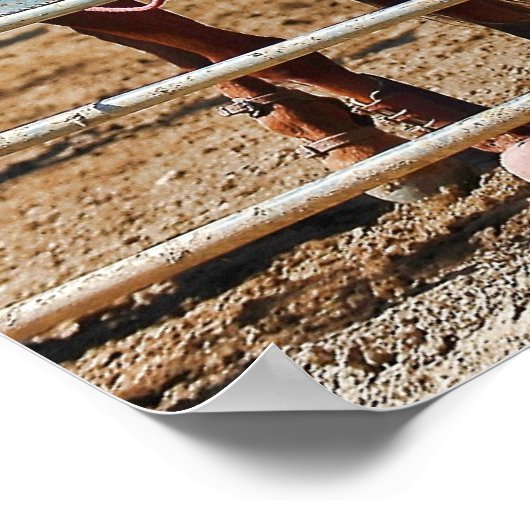 Cowboys in een Poster van een rodeo (Hoek)