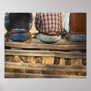 Cowboys op hek poster