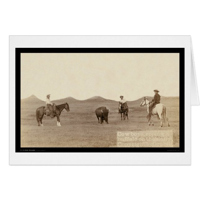 Cowboys Roping un écart-type 1887 de Buffalo (Devant horizontal)