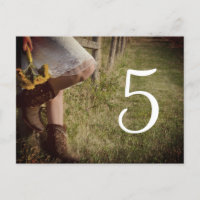Cowgirl en Western weddenschapsnummer