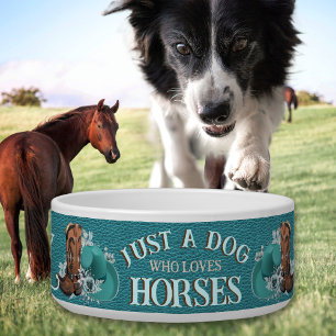 Cowgirl quote turquoise lederen cowboylaarzen pet voerbakje