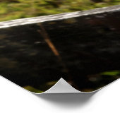 Cowgirl Ranch poster (Hoek)