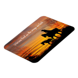 Cowgirl Sunset Horseback Ride Flexible Magnet Magneet