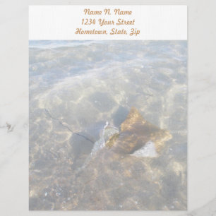 Cownose Stingray OBX Series Letterhead Custom Briefhoofd