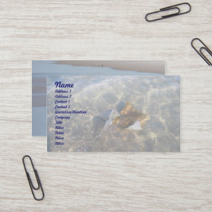 Cownose Stingray OBX Series Visitekaartje