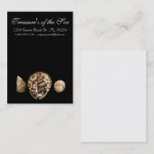 Cowrie Cones 2 Carte de visite (Devant / Derrière)