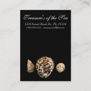 Cowrie Cones 2 Carte de visite