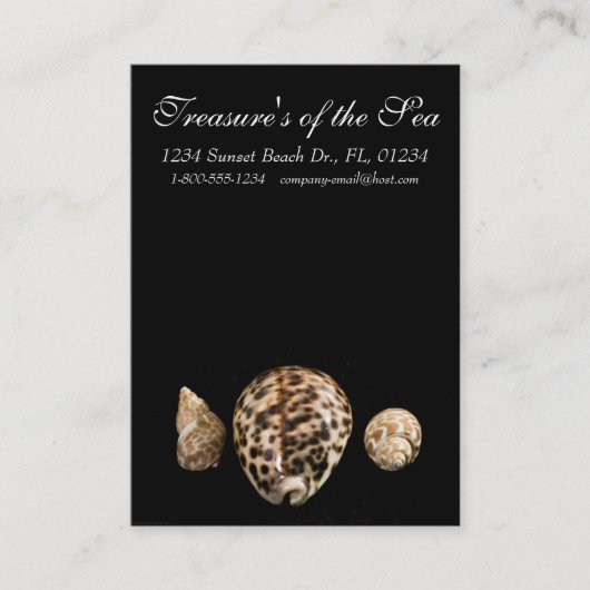 Cowrie Cones 2 Carte de visite (Devant)