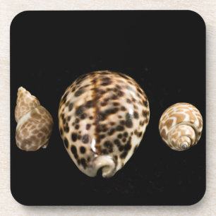 Cowrie Cones 2 Dessous de verre de liège