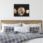 Cowrie Cônes 2 Toile Enveloppée (Insitu(Chambre))