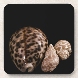 Cowrie Cones Cork Onderzetter
