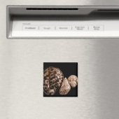 Cowrie Cones Magnet Magneet (Insitu (Vaatwasser))