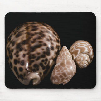 Cowrie Cones Mousepad Muismat