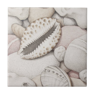 Cowrie en Abalone Shells en Pebbles Ceramic Tile Tegeltje