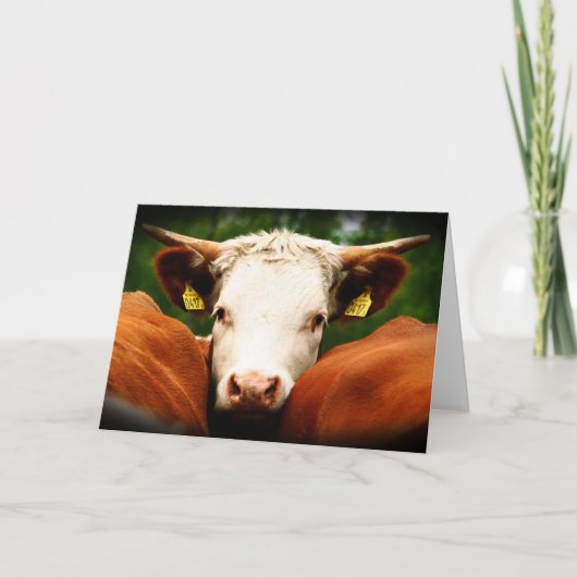 Cows Head Kaart (Voorkant)