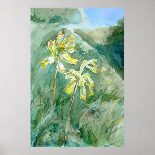 Cowslips Primula veris op een grassy bank Poster