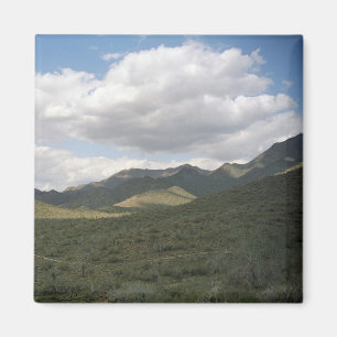 Cowyboy Skyline Desert Decorative Magnet Magneet