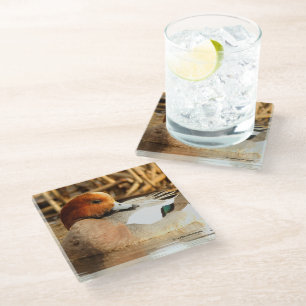 Coy glimlacht Euraziatische Wigeon Duck op de Pond Glazen Onderzetter