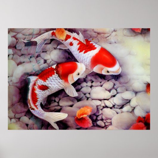 Coy Pond  Japanse kunst Poster (Voorkant)