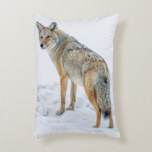 Coyote alert in de sneeuw decoratief kussen