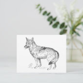Coyote Briefkaart (Staand voorkant)