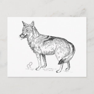 Coyote Briefkaart