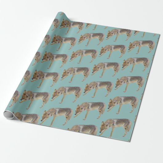 Coyote Cadeaupapier (Uitgerold)