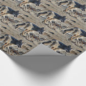 Coyote Cadeaupapier (Hoek)