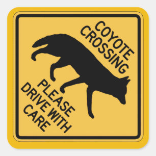 Coyote Crossing, verkeerswaarschuwingsbord, Vereni Vierkante Sticker