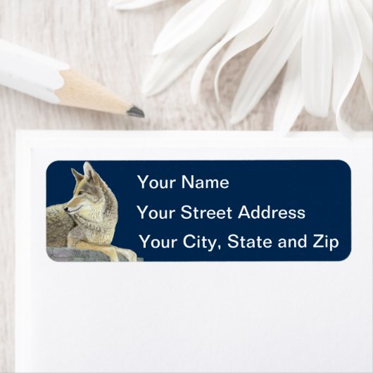 Coyote Etiket (Insitu)