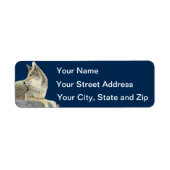 Coyote Etiket (Voorkant)