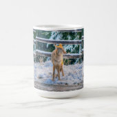 Coyote femelle et la neige Nature Coffee Mug (Centre)