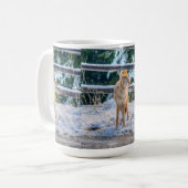 Coyote femelle et la neige Nature Coffee Mug (Devant gauche)